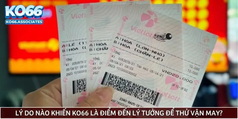 ly-do-nao-khien-ko66-la-diem-den-ly-tuong-de-thu-van-may