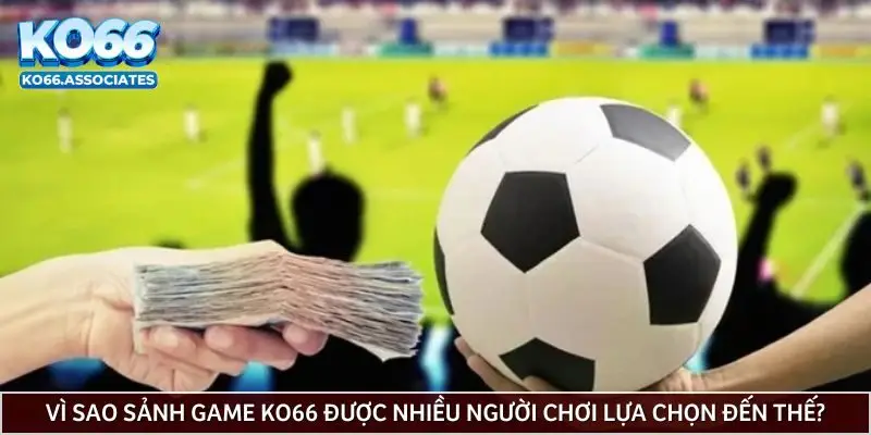 Lí do KO66 được ưa chuộng? Lí do KO66 được ưa chuộng?